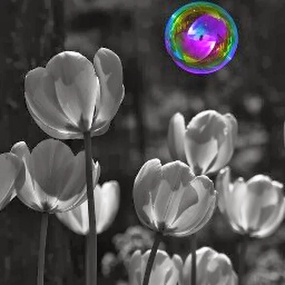 Meet your Posher, Katesha